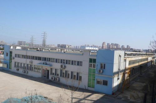烟台一个大工厂拍卖,最终被一家刚成立2天的公司底价6080万拍下