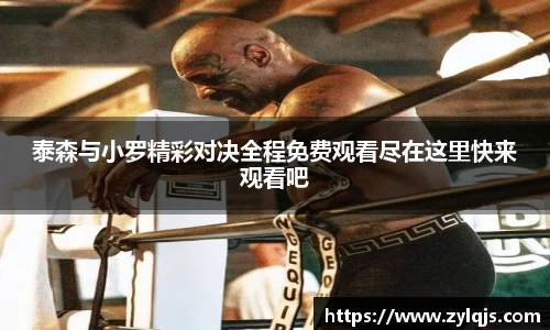 泰森与小罗精彩对决全程免费观看尽在这里快来观看吧